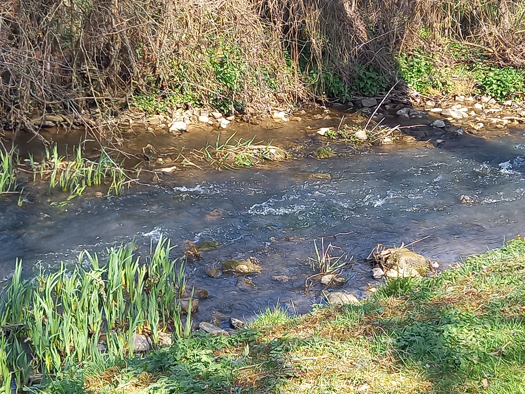 Camping De L'Ardan Bourgogne
