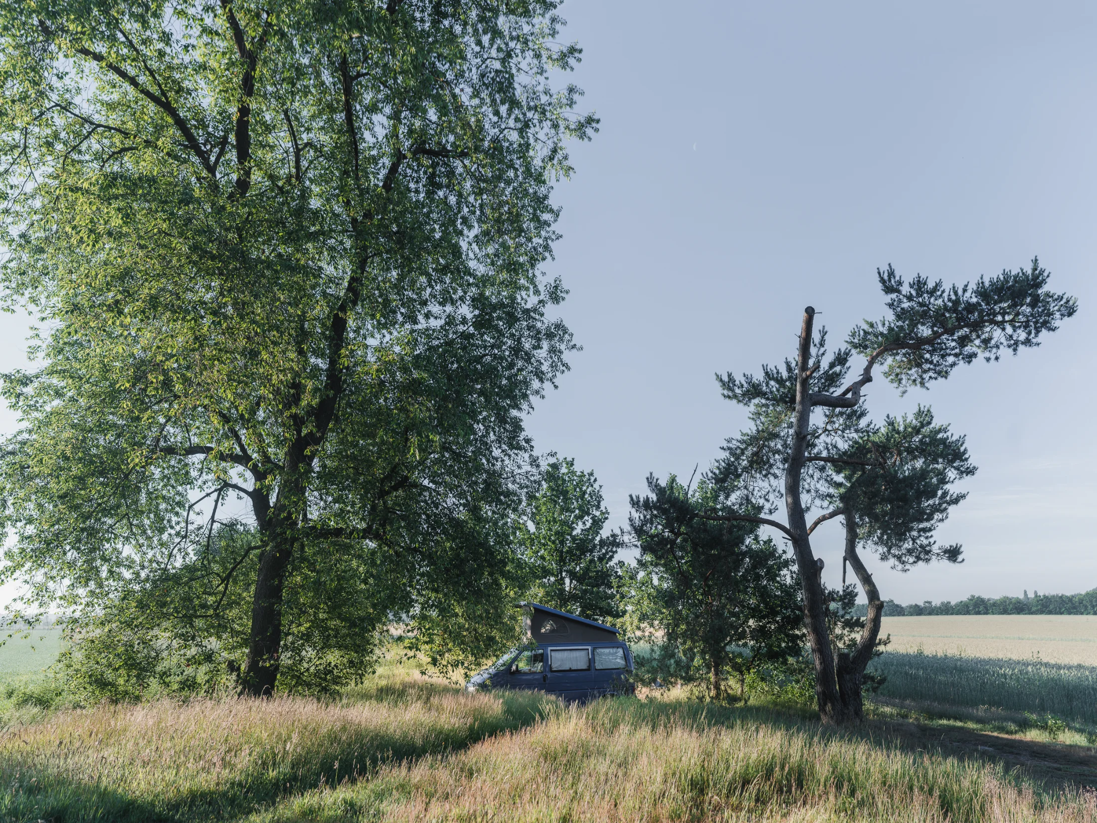 Natuurcamping Quadenoord