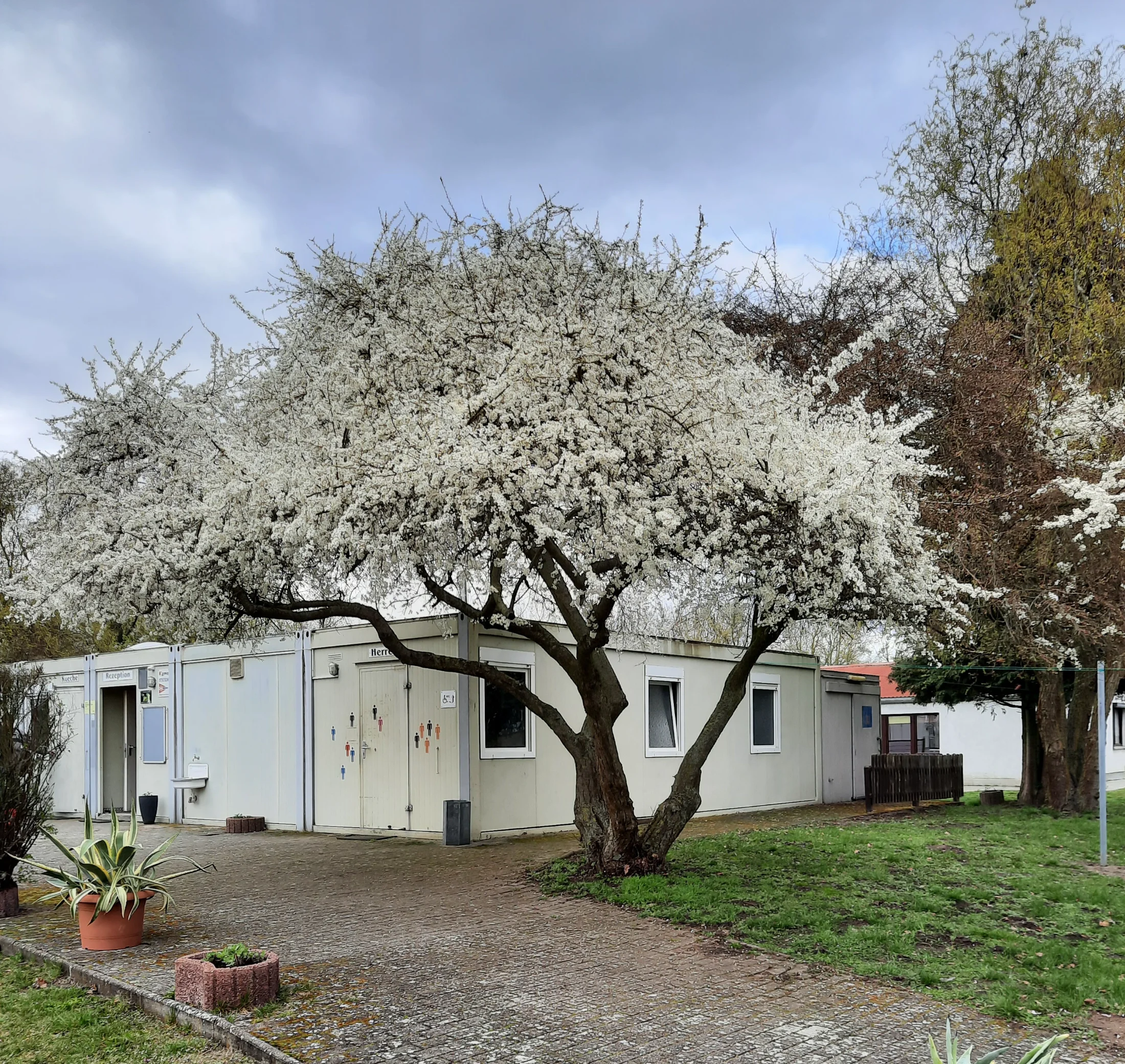 Oderbruchcamp Zechin