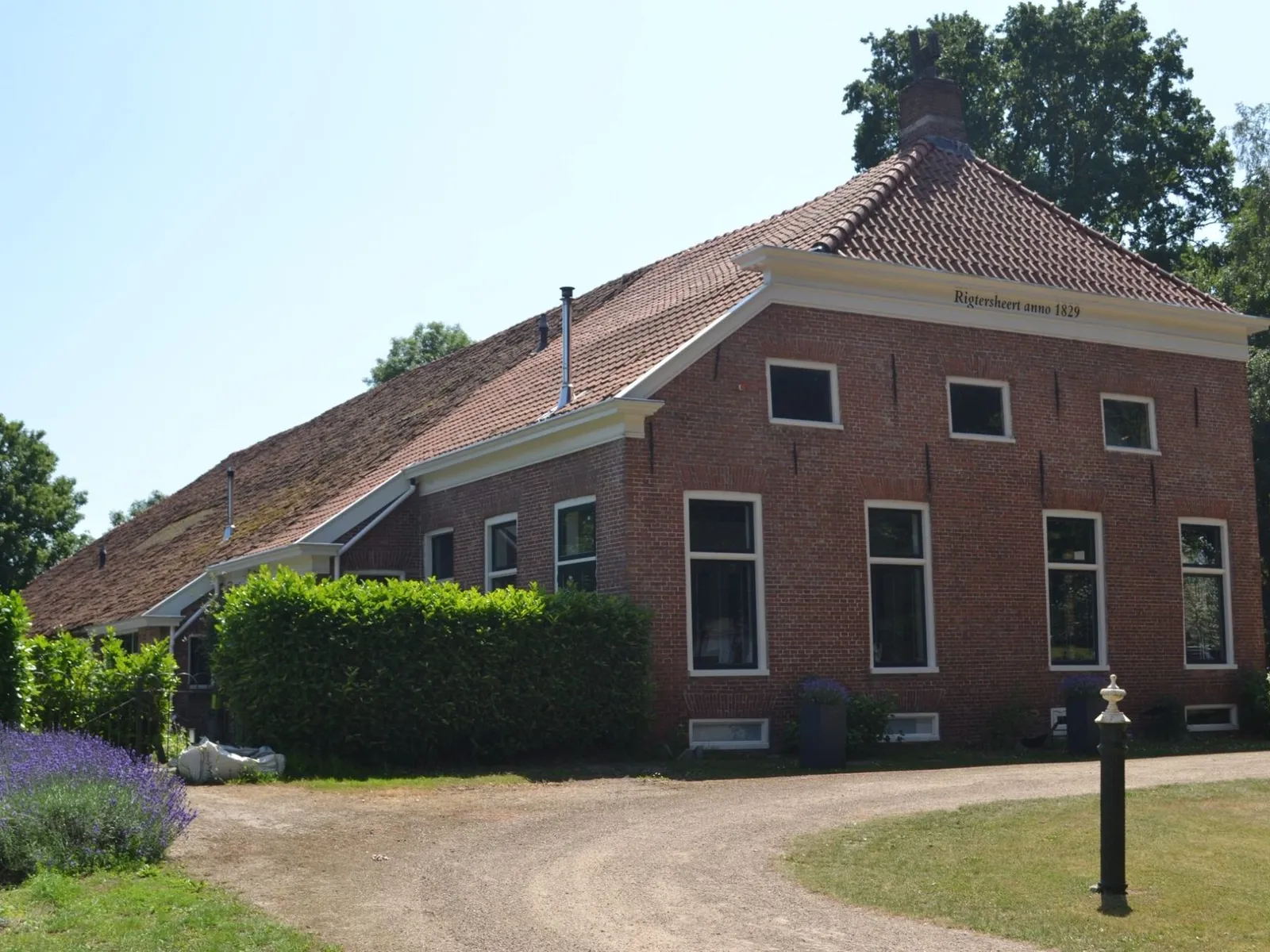 Rigtersheert