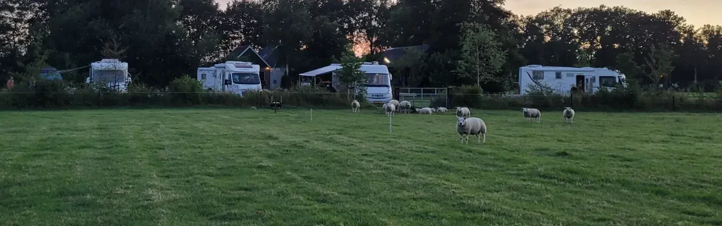 De Kleine Molenpolder