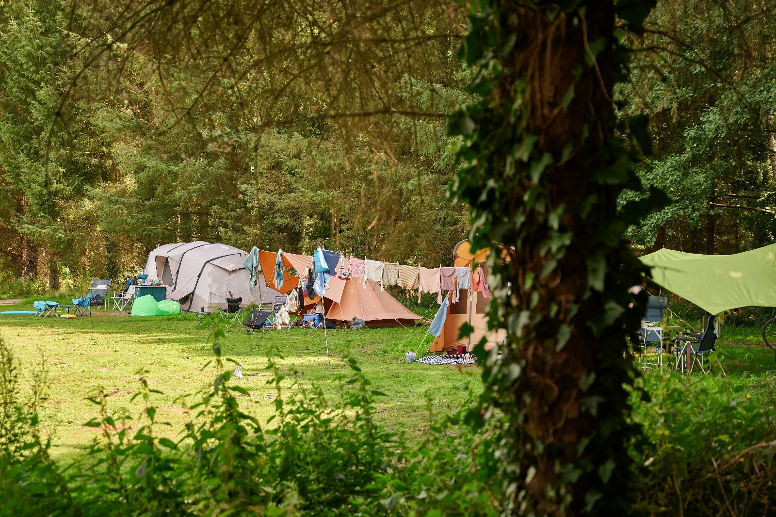 Camping Noorderloo