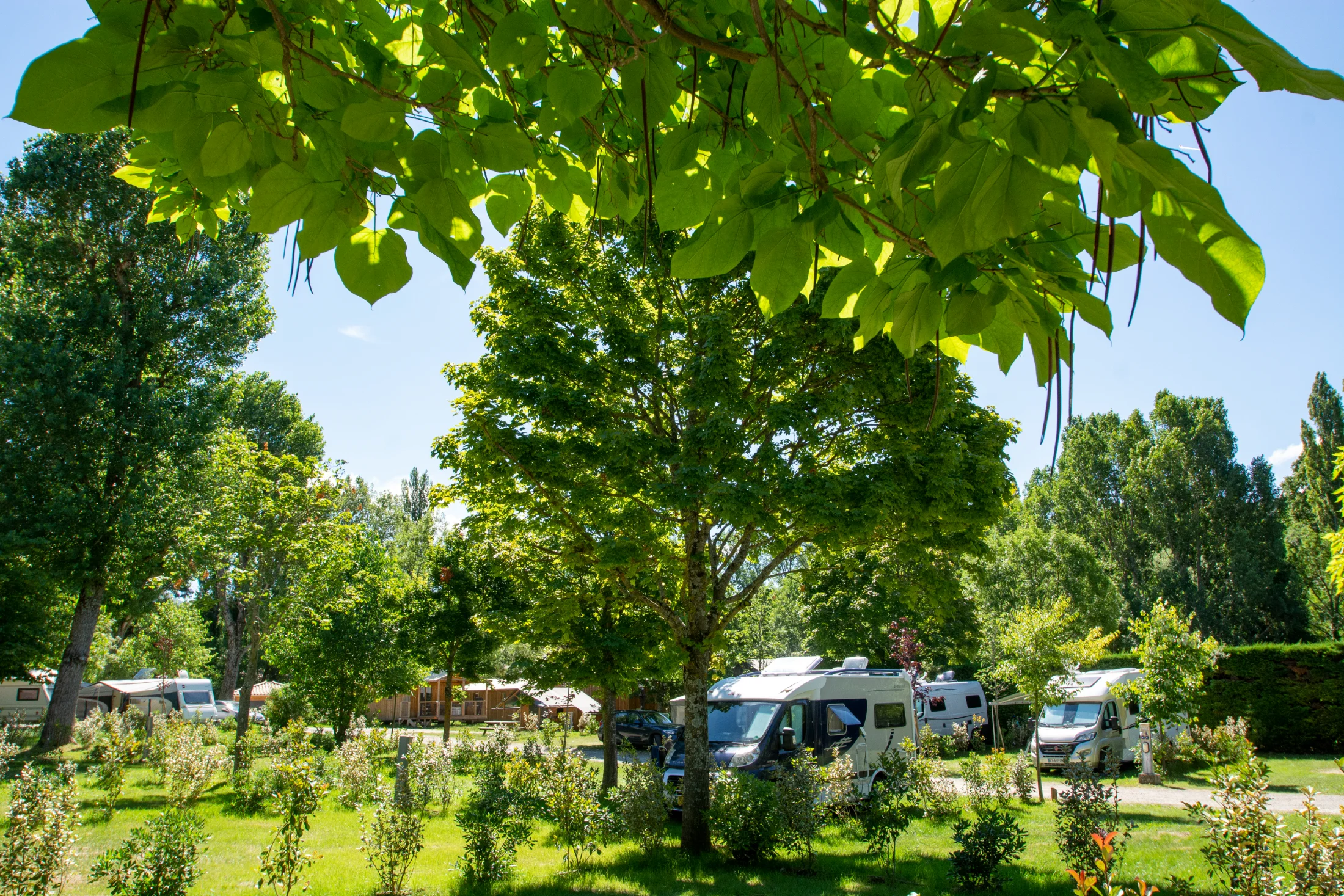 Camping Domaine Provençal, camping Rhône-Alpes 4 étoiles