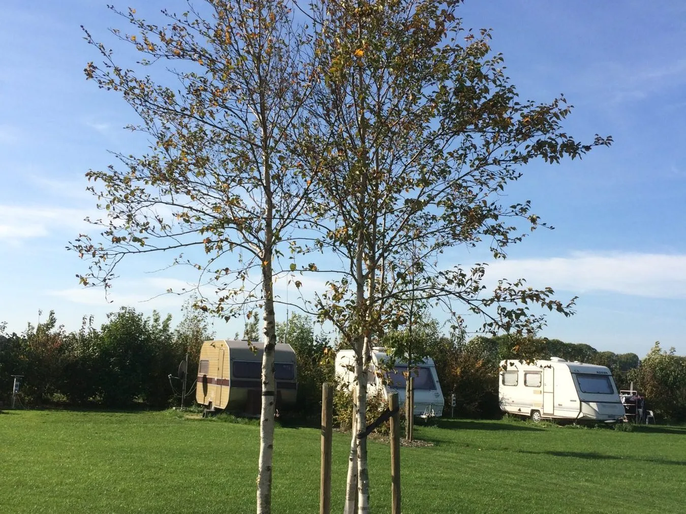 Camping 't Weeltje