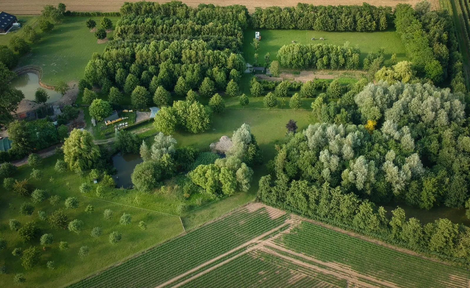 Landgoed Clootwijck