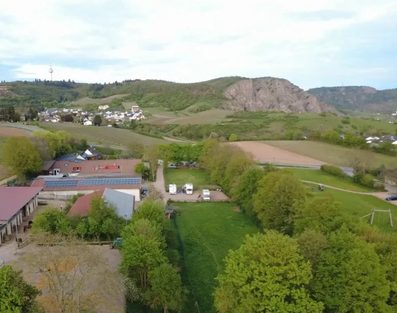 Weingut Buchenländerhof