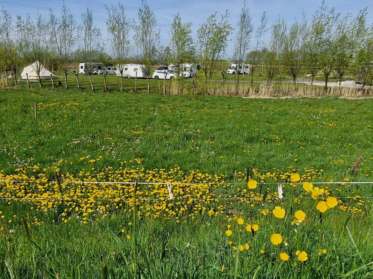 Camperplaats Camping Zwolsedijk